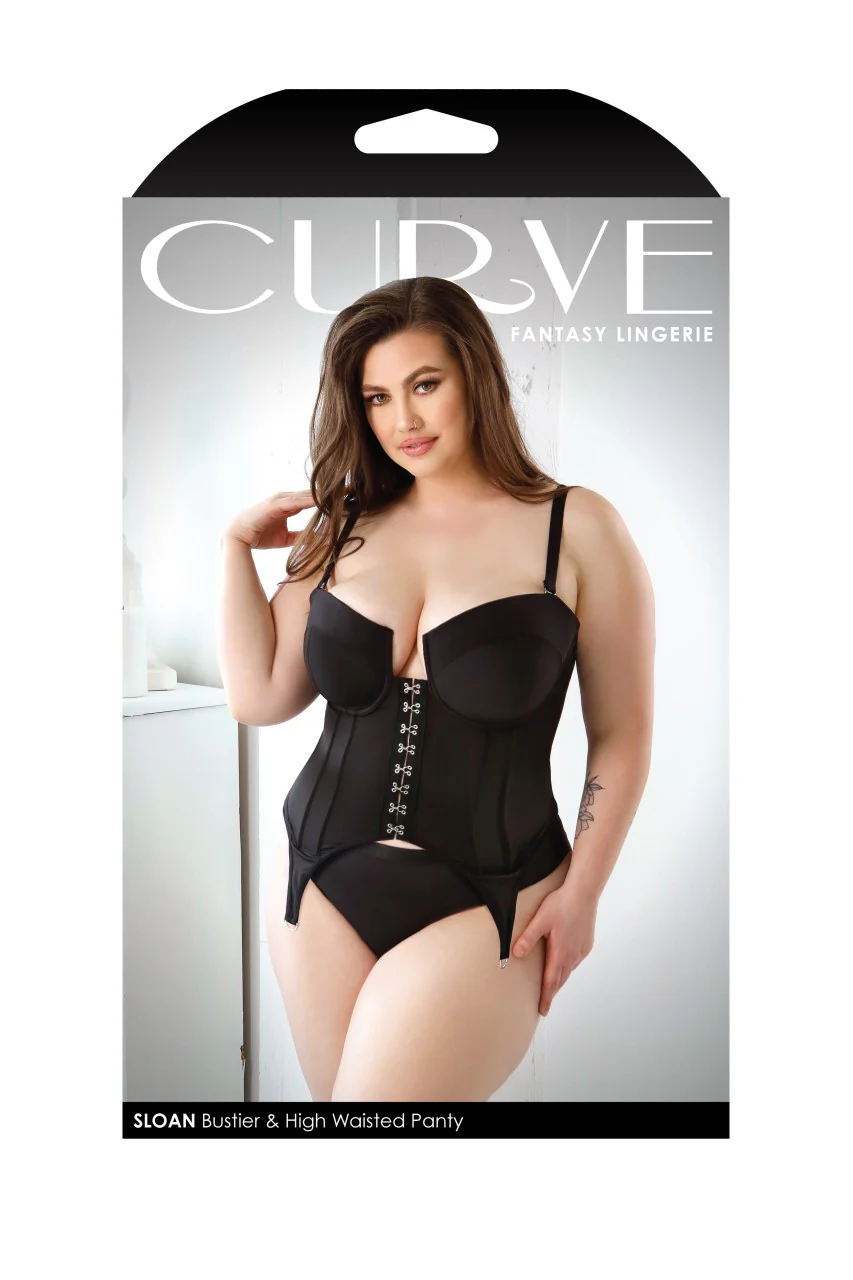 FL-P646 Sexy Sloan Bustier & Panty Fantasy Lingerie - Image 3