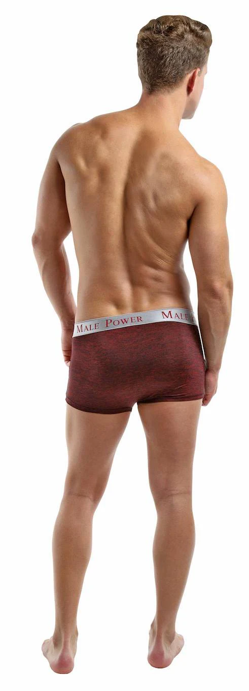 MP156222 Malepower Panel Short - Wine/Black - Image 2