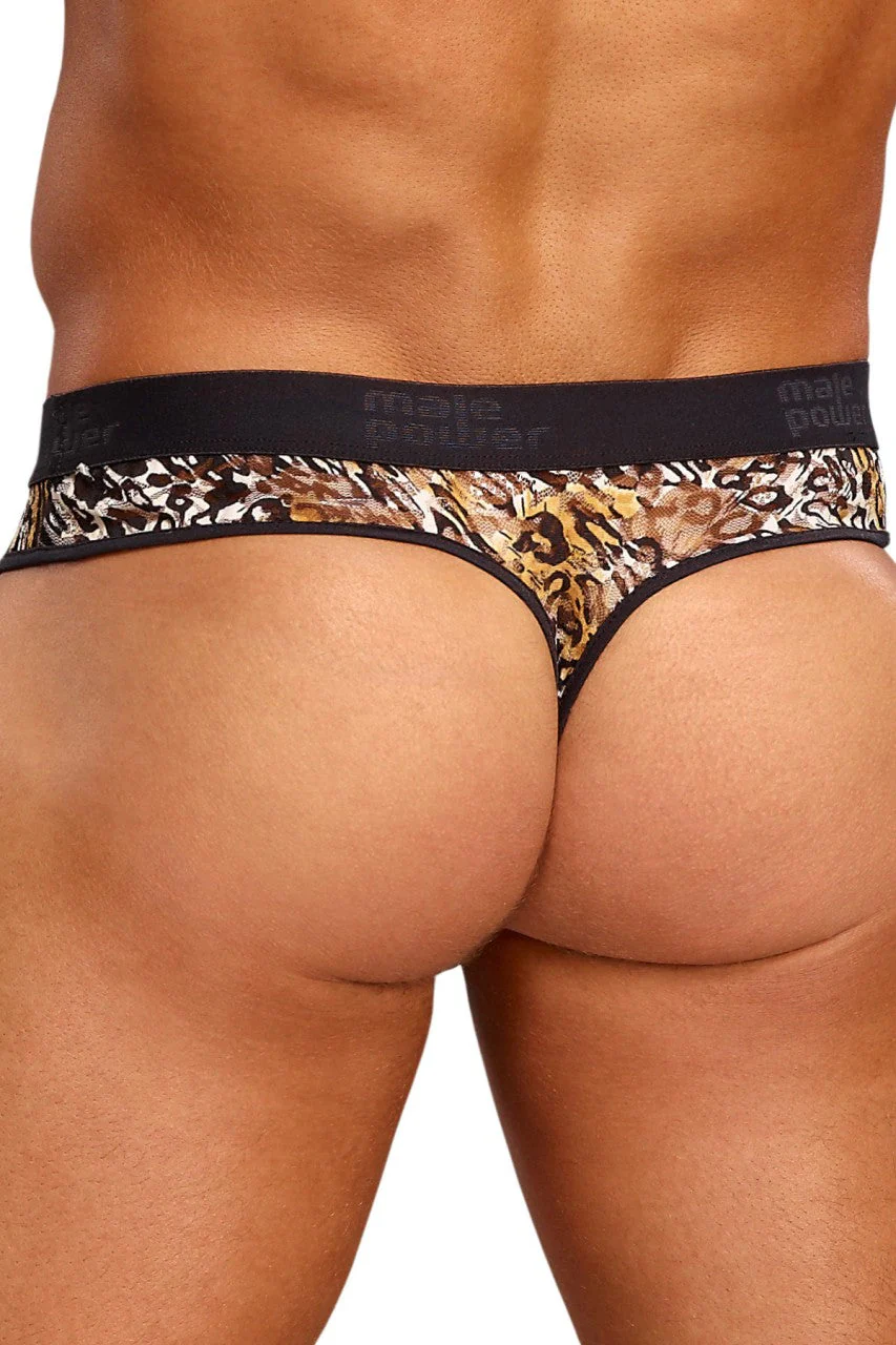 MP436174 Malepower Male Power Lo Rise Enhancer Thong Brown - Image 2